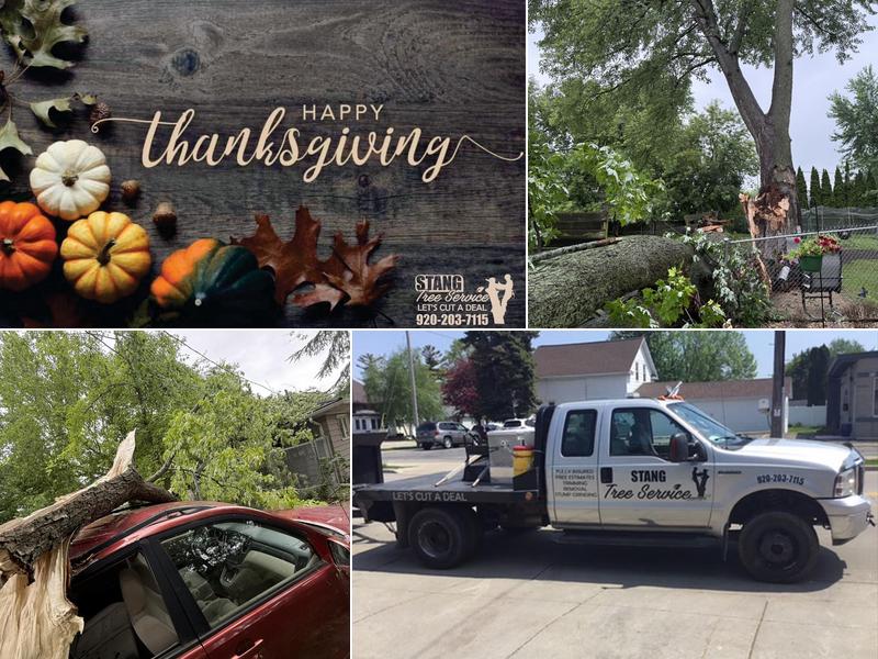 Stang Tree Service, LLC