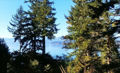 Davids Roof Cleaning LLC