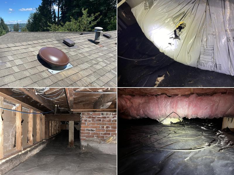 Northwest Crawl Space Services