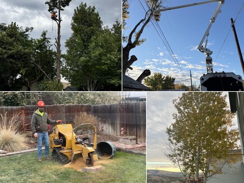 Duran’s Tree Service LLC