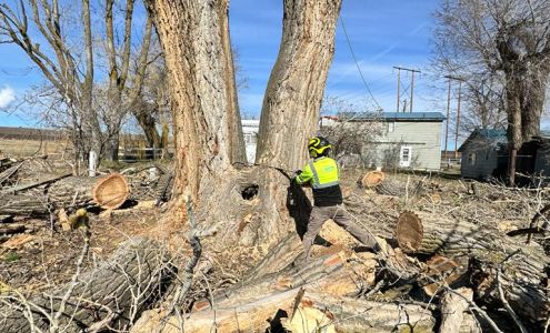 Supreme Tree Service