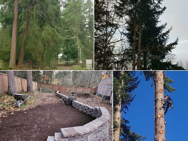 ROCK SOLID TREE & LANDSCAPE SERVICES