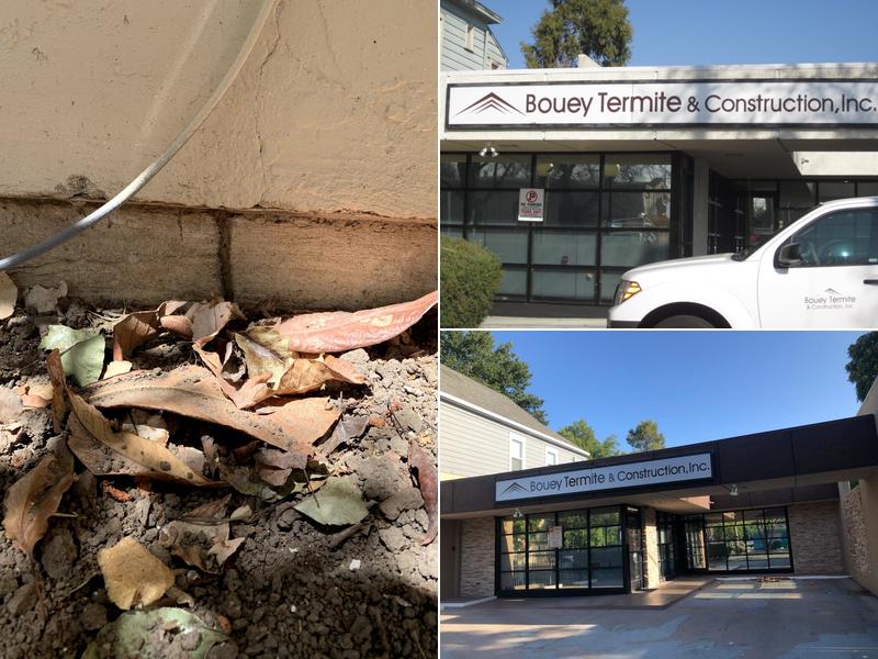 Bouey Termite Service, Inc. dba Bouey Construction