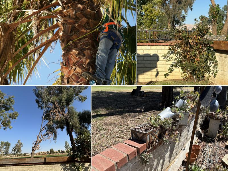 Venables Tree Services