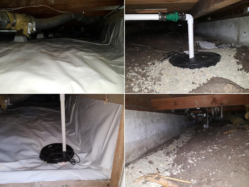 Crawl Space Specialist