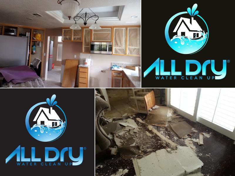 ALL DRY WATER CLEAN UP