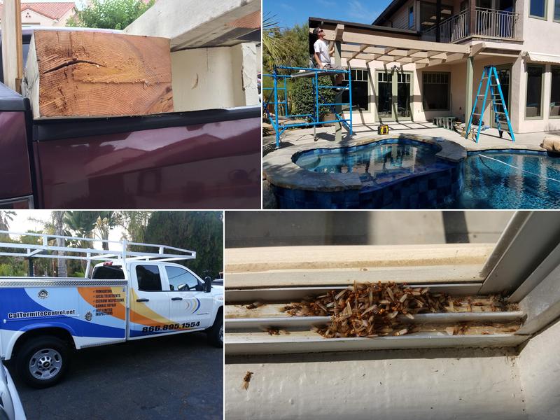 C. A. Luce Termite Control