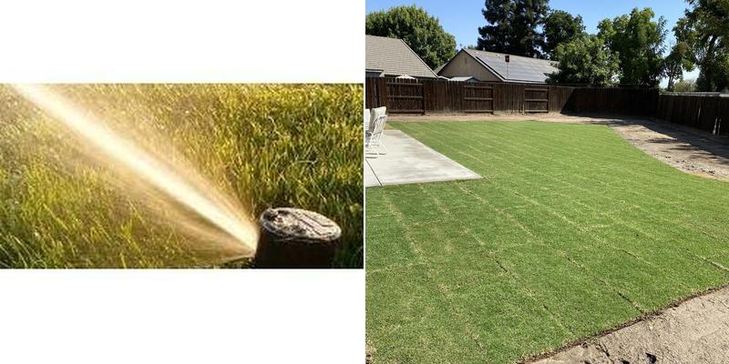 Asmsprinkler &landscaping