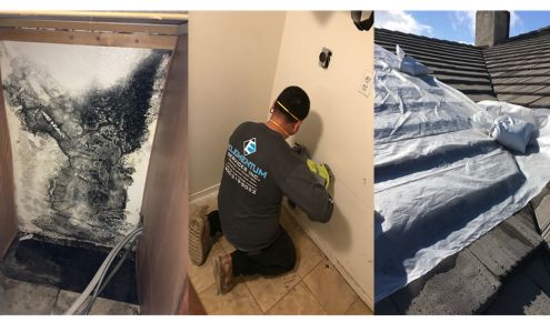 Elementum Services Inc.