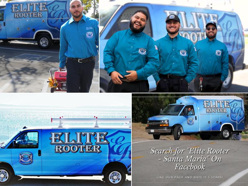 Elite Rooter Of The Central Coast