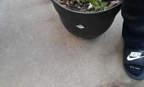 Gaestel Construction Co