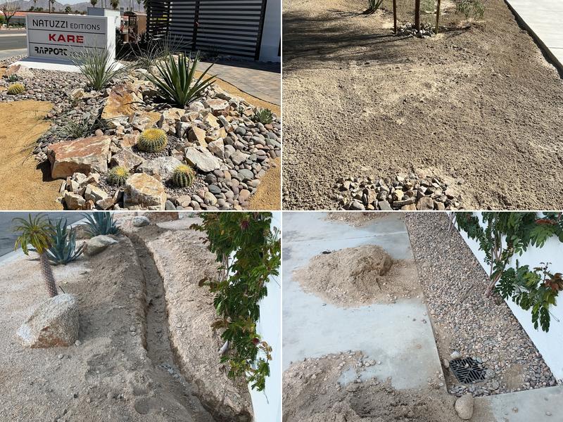 Paloma's Water and Dirt