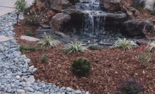 Sal Rodriguez Landscapes LLC