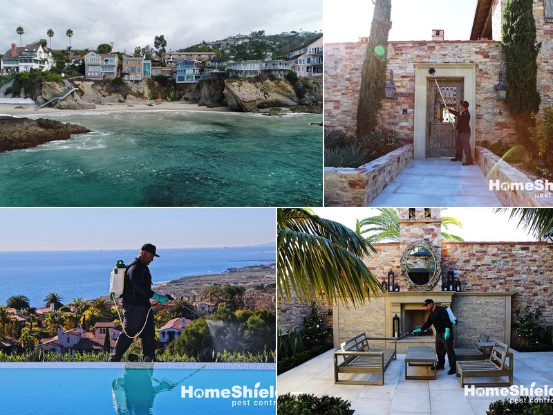 HomeShield Pest Control