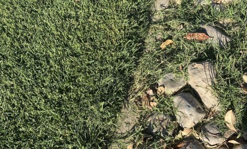 Green Thumb Landscaping 1175 N Ham Ln, Lodi California 95242