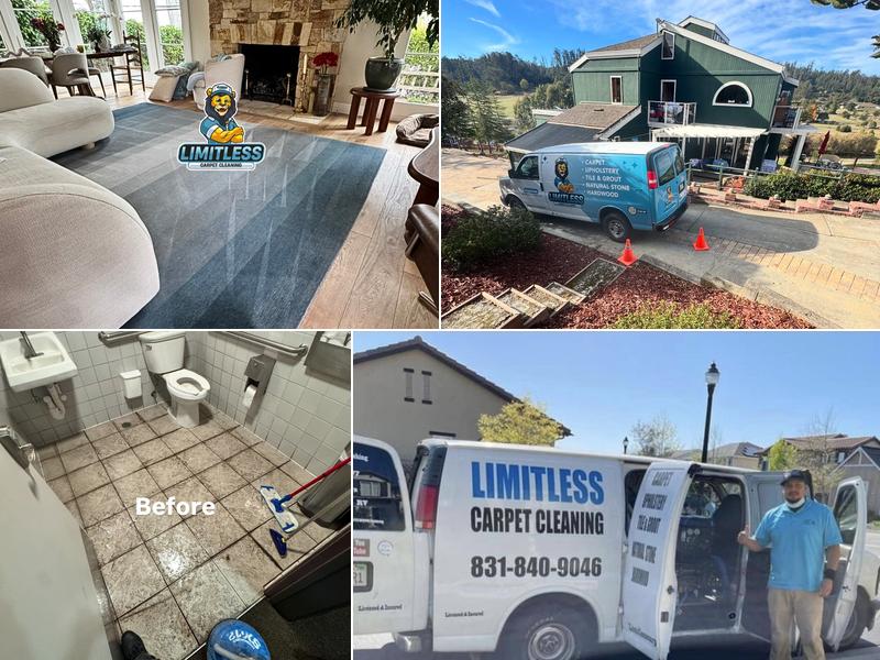 Limitless Carpet Cleaning