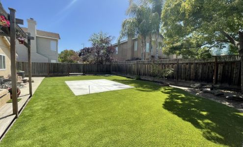 Evergreen Artificial Turf