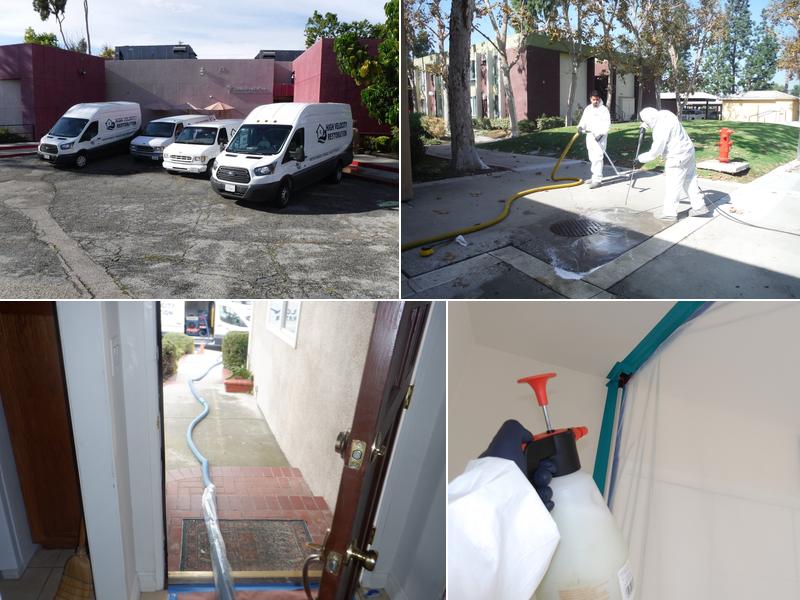 High Velocity Restoration Inc.