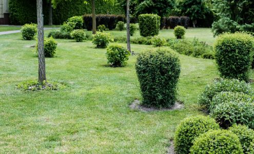 Gonzalez Maintenance 804 Green St #403, Honolulu Hawaii 96813