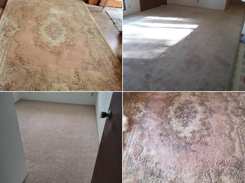 Jens Carpet Cleaning LLC