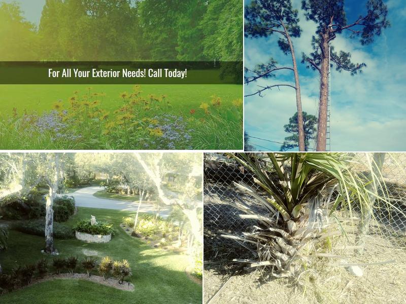 Phillip Dawkins Lawn & Trees Service