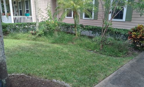 Sampson and sons Lawn care and tree work