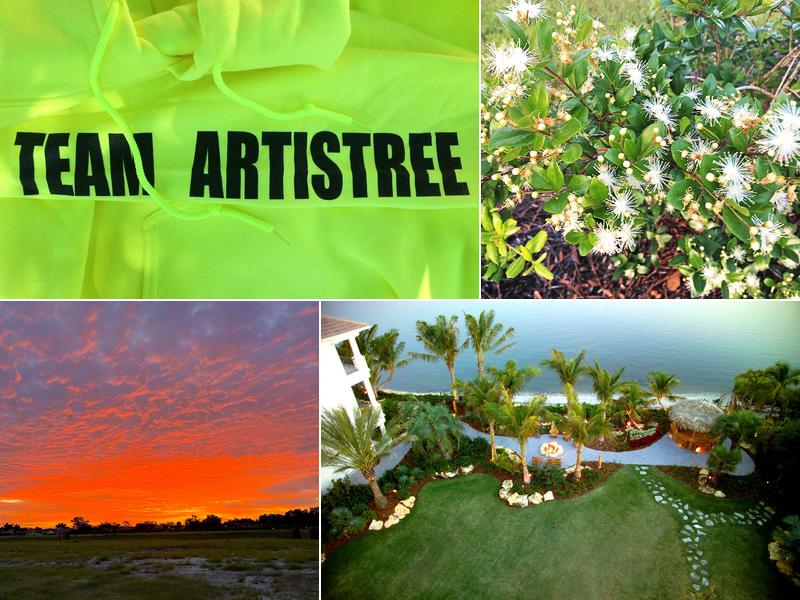 ArtisTree Landscape Maintenance & Design