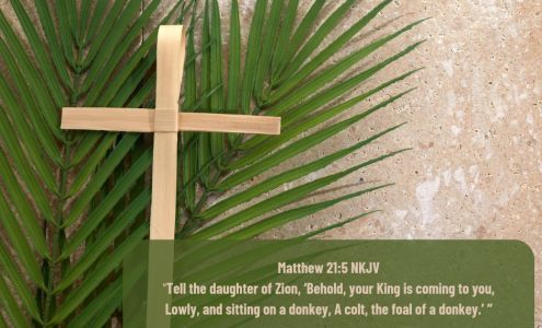 Cross Wired Electrical Services