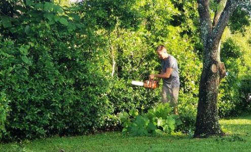 Accurate Tree Service