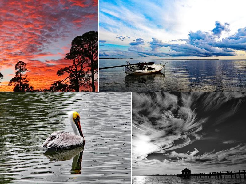 Cindy Marsh-Tichy, MICHAEL SAUNDERS & COMPANY