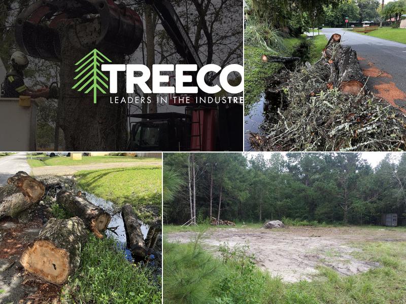 Treeco FL - St Augustine