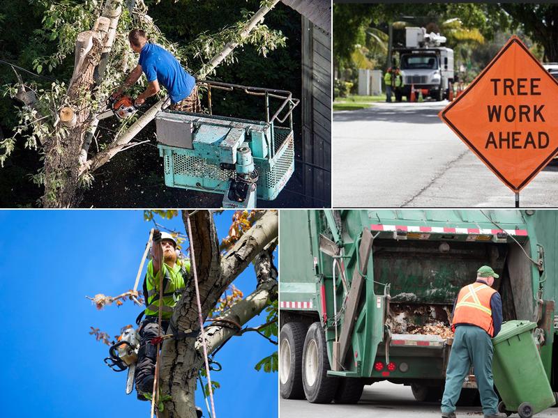 Grove Tree Service & Landscaping