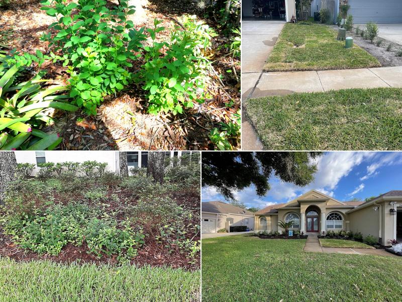 Landscaping Solutions Of Florida LLC