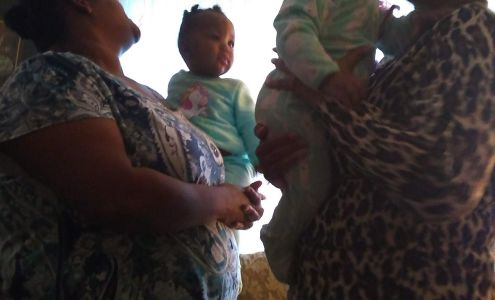 Spring Grove Apartments