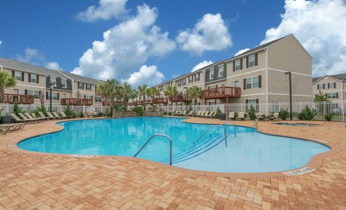 Copper Beech Statesboro