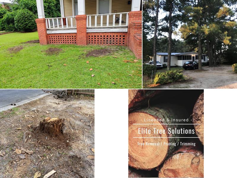 Elite Tree Solutions