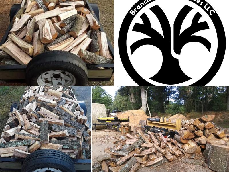 Branch Out Enterprises, LLC