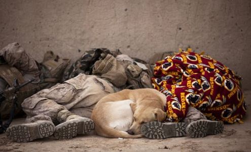 Beethoven Group 4 Heroes, Inc.