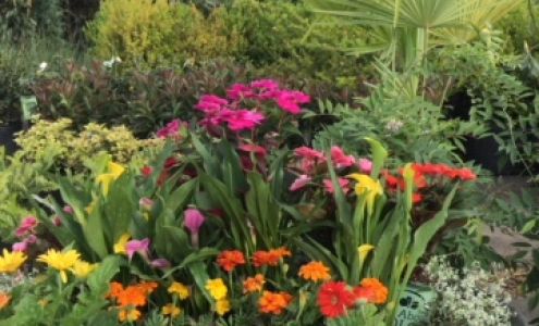 OuterElements 635 Belmont Dr, Calhoun Georgia 30701