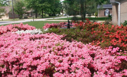 Nance Carpet & Rug Co Inc