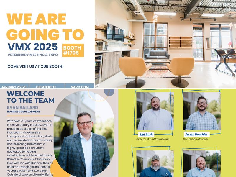 Blue Frog Construction