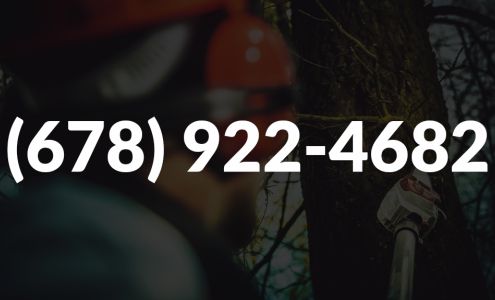 All In Tree Service of Villa Rica