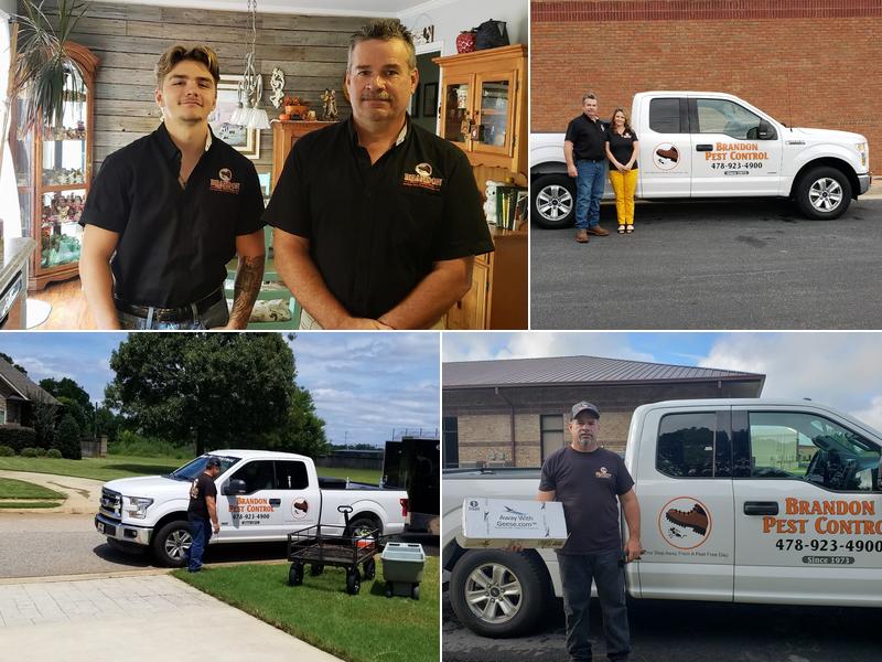 Brandon Pest Control