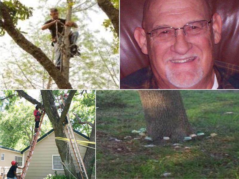 Big Country Tree Experts