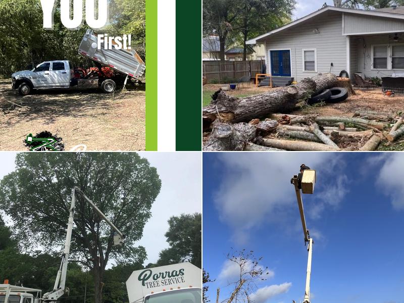 Porras Tree Service, LLC