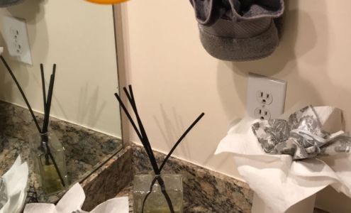 Sandra cleaning service