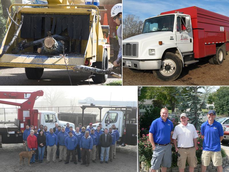 Quality Tree Surgery, Inc.