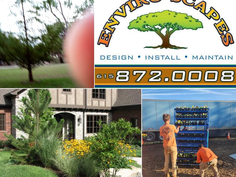 Enviro Scapes Landscaping Management