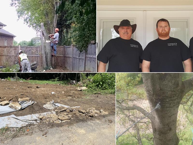 Tanksley Tree Service LLC