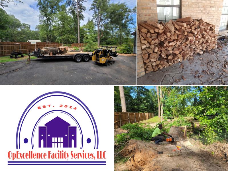 OpExcellence Facility Services, LLC